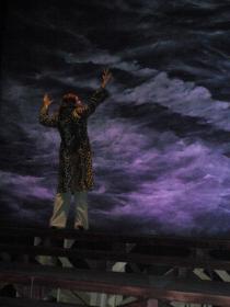 primavera salvaje , emoé de la parra